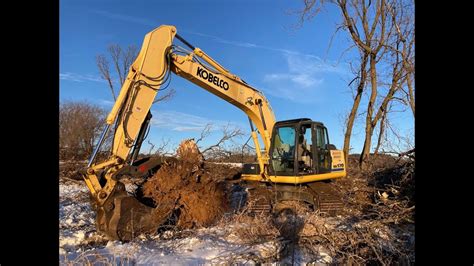 Clearing fence line with the excavator 